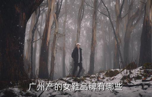 廣州大都市女鞋品牌，廣州產(chǎn)的女鞋品牌有哪些