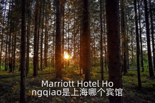 上海市浦東新區康橋萬豪酒店，Marriott Hotel Hongqiao是上海哪個賓館
