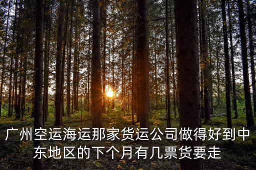 廣州空運(yùn)國際物流，廣州空運(yùn)廣州空運(yùn)可以上門提貨嗎