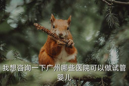 我想咨詢一下廣州哪些醫(yī)院可以做試管嬰兒