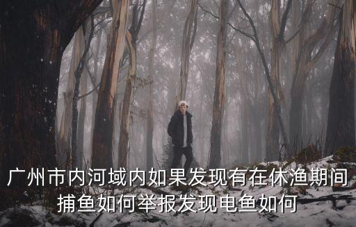 廣州市內河域內如果發現有在休漁期間捕魚如何舉報發現電魚如何