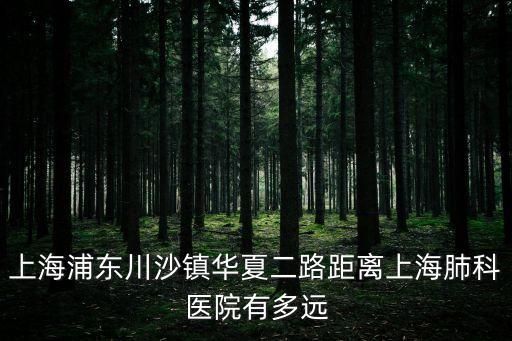 川沙到上海市肺科醫(yī)院，到上海肺料醫(yī)院怎么坐車