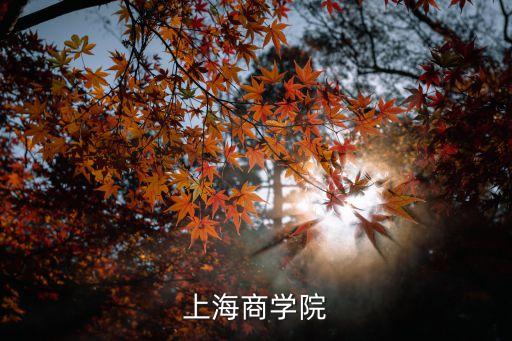 上海商學院上海市商務委，上海商學院