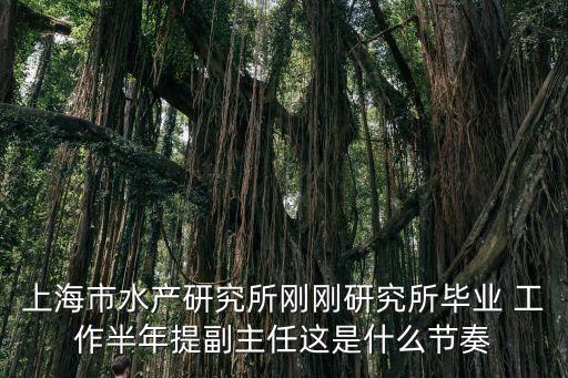 上海市紅會李佳妮，上海市金山區(qū)楓涇鎮(zhèn)環(huán)東一路65弄3號1840室請問這間工作室是做什么