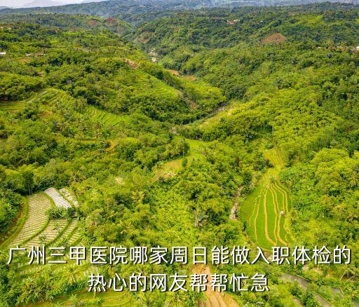 廣州三甲醫(yī)院哪家周日能做入職體檢的熱心的網(wǎng)友幫幫忙急