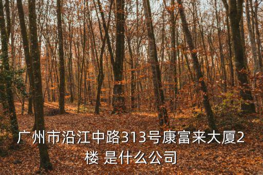 廣州市沿江中路313號(hào)康富來大廈2樓 是什么公司