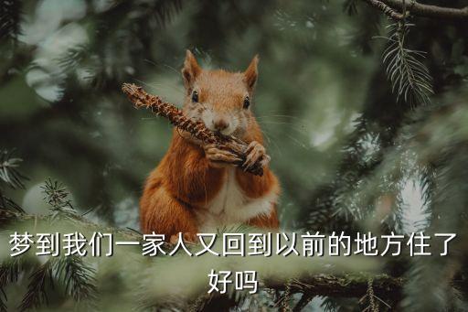 夢到我們一家人又回到以前的地方住了好嗎