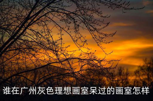 在廣州選擇畫室的經歷，誰在廣州灰色理想畫室呆過的畫室怎樣
