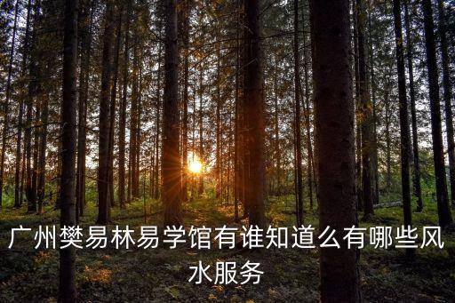 廣州樊易林易學館有誰知道么有哪些風水服務