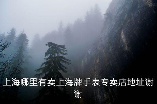 上海市上海牌手表實(shí)體店地址，上海牌手表旗艦店在上海哪的