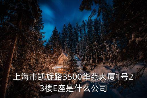 上海市凱旋路3500華苑大廈1號23樓E座是什么公司