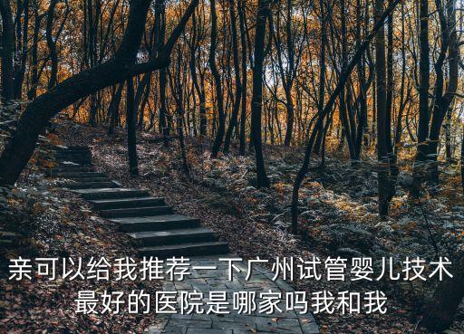 親可以給我推薦一下廣州試管嬰兒技術(shù)最好的醫(yī)院是哪家嗎我和我