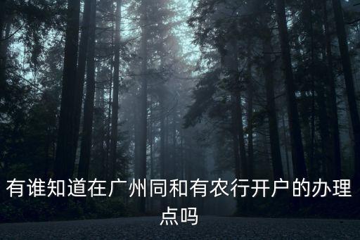 有誰知道在廣州同和有農行開戶的辦理點嗎