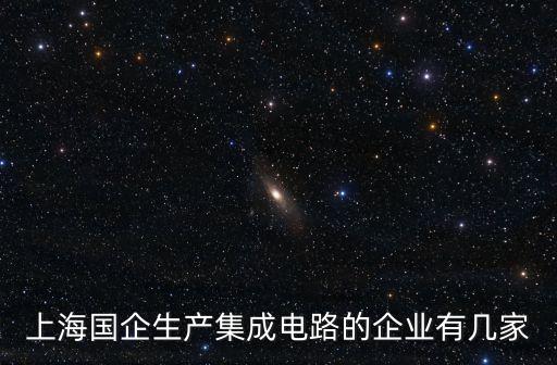 上海國企生產(chǎn)集成電路的企業(yè)有幾家