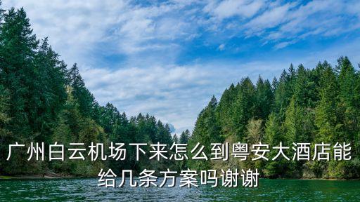 廣州白云機(jī)場下來怎么到粵安大酒店能給幾條方案嗎謝謝