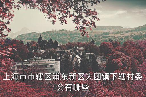 上海市市轄區(qū)浦東新區(qū)大團鎮(zhèn)下轄村委會有哪些