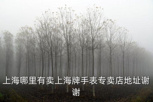 上海哪里有賣上海牌手表專賣店地址謝謝