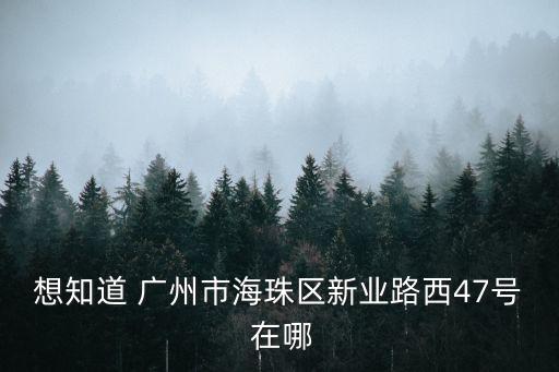 想知道 廣州市海珠區(qū)新業(yè)路西47號(hào) 在哪
