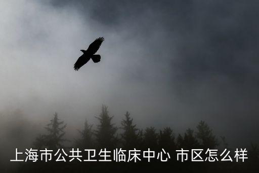 上海市公共衛(wèi)生臨床中心 市區(qū)怎么樣