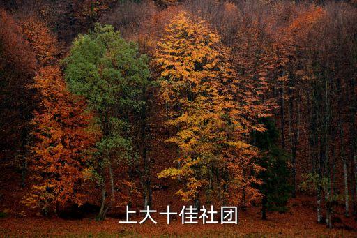 上大十佳社團(tuán)