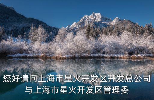 您好請問上海市星火開發區開發總公司與上海市星火開發區管理委