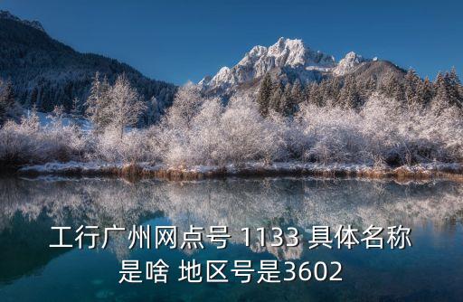 工行廣州網(wǎng)點號 1133 具體名稱是啥 地區(qū)號是3602