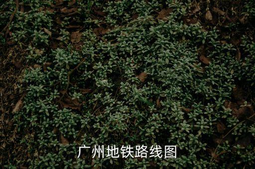 廣州地鐵線路牌，求廣州地鐵各號線的線路圖圖越詳細越好