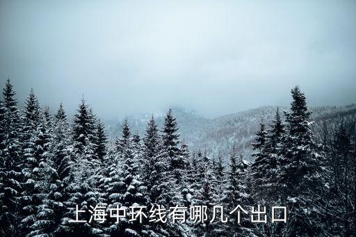 上海市外環(huán)接中環(huán)下出口，上海中環(huán)線有哪幾個出口