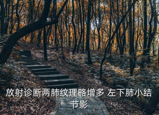 放射診斷兩肺紋理略增多 左下肺小結(jié)節(jié)影
