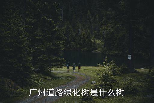 廣州大道北的行道樹，廣州的一種常見的行道樹