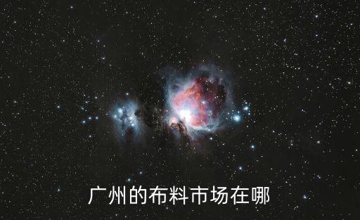 廣州哪里有不倒絨布料，請問廣州順德佛山中山 東莞這些地方哪里有珊瑚絨布料批發