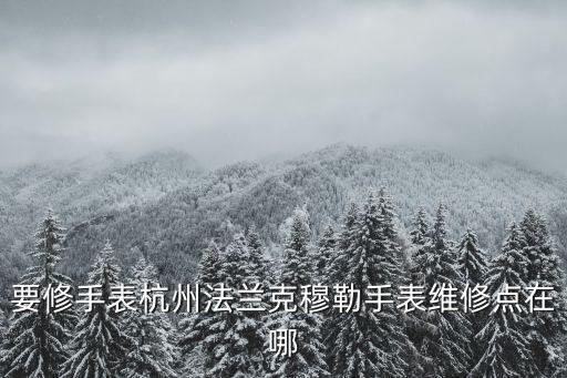 上海市法蘭克穆勒專修點(diǎn)地址，Creative ZEN Vision W 上海維修地址