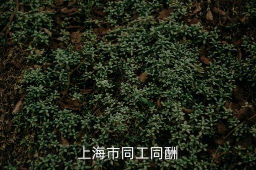 上海市經(jīng)信委 宮晨，上海市同工同酬