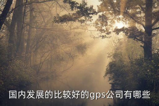 國內發展的比較好的gps公司有哪些