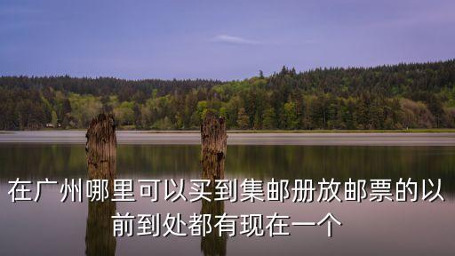 廣州買紀念郵票的地方，在廣州哪里可以買到集郵冊放郵票的以前到處都有現在一個
