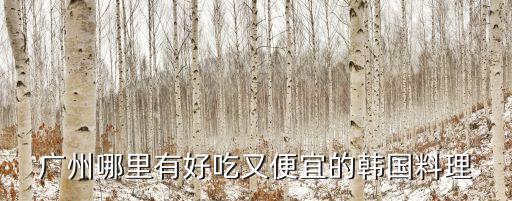 廣州哪里有好吃又便宜的韓國料理
