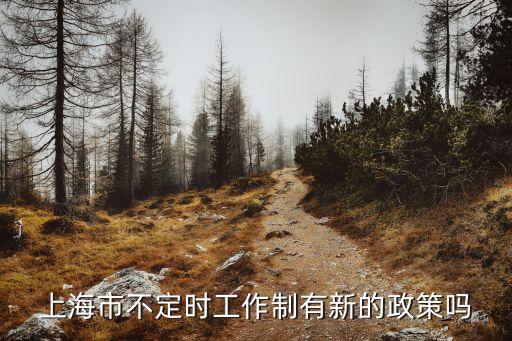 上海市鎮(zhèn)府的延遲上班，上海市不定時(shí)工作制有新的政策嗎