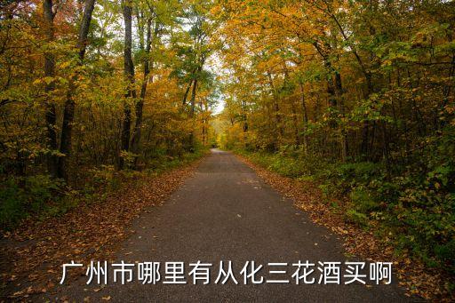 廣州市哪里有從化三花酒買啊