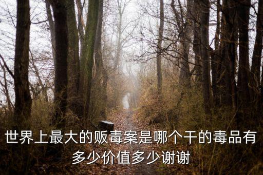 廣州白云特大販毒案，世界上最大的販毒案是哪個干的毒品有多少價值多少謝謝