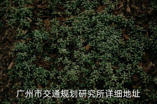 廣州市交通規(guī)劃研究所詳細(xì)地址