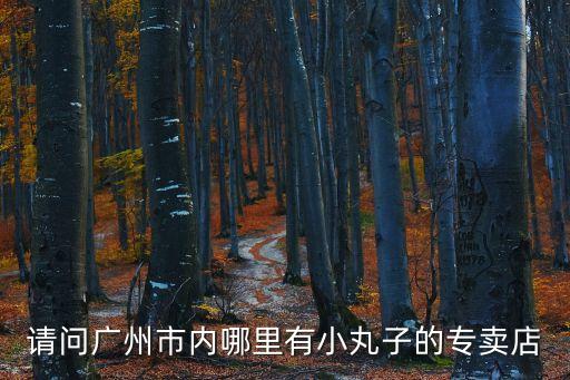 請問廣州市內哪里有小丸子的專賣店
