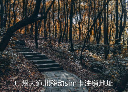 廣州圣地溝通100，廣州花都區(qū)溝通100營業(yè)廳在什么路