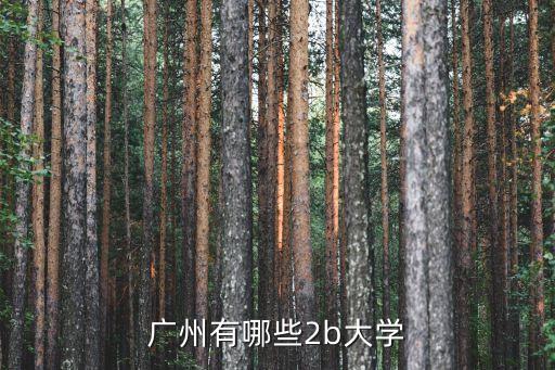 廣州有ib課程的大學嗎，廣東有什么ib學校或者是有預科讀的都可以