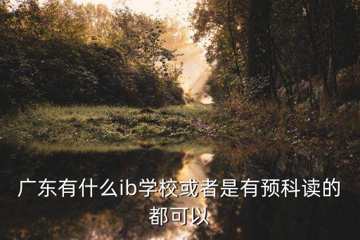 廣東有什么ib學校或者是有預科讀的都可以
