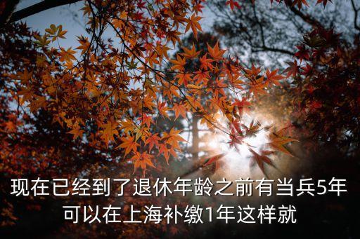 現(xiàn)在已經(jīng)到了退休年齡之前有當(dāng)兵5年可以在上海補(bǔ)繳1年這樣就