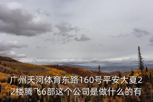 廣州天河體育東路160號平安大夏22樓騰飛6部這個公司是做什么的有