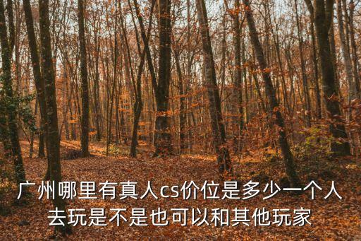 廣州哪里有真人cs價位是多少一個人去玩是不是也可以和其他玩家