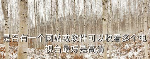 是否有一個網站或軟件可以收看多個電視臺最好是高清