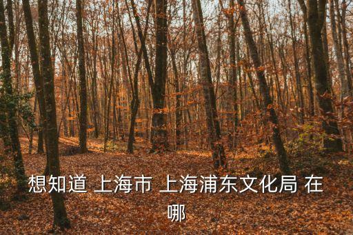 上海市文化旅游局地址電話，上海旅游局電話是多少