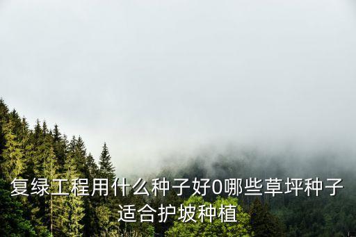 復(fù)綠工程用什么種子好0哪些草坪種子適合護(hù)坡種植